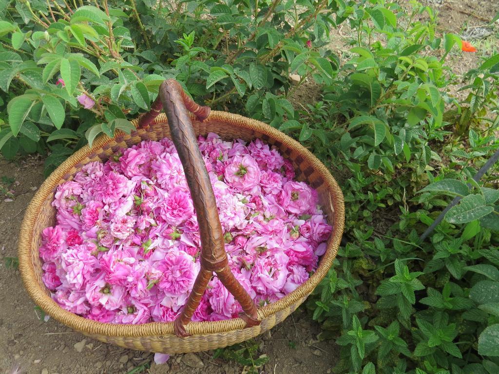 Camping Fiori Di Noto Zewnętrze zdjęcie