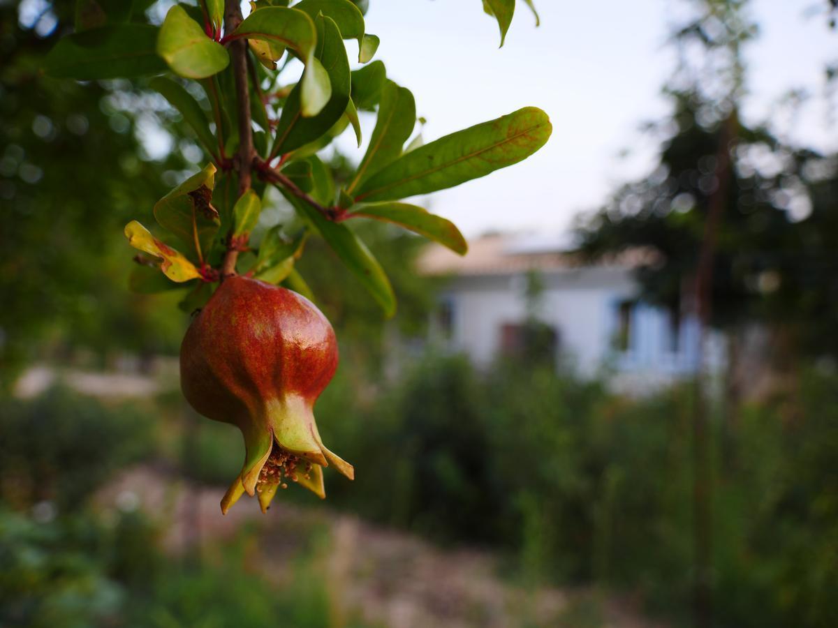 Camping Fiori Di Noto Zewnętrze zdjęcie