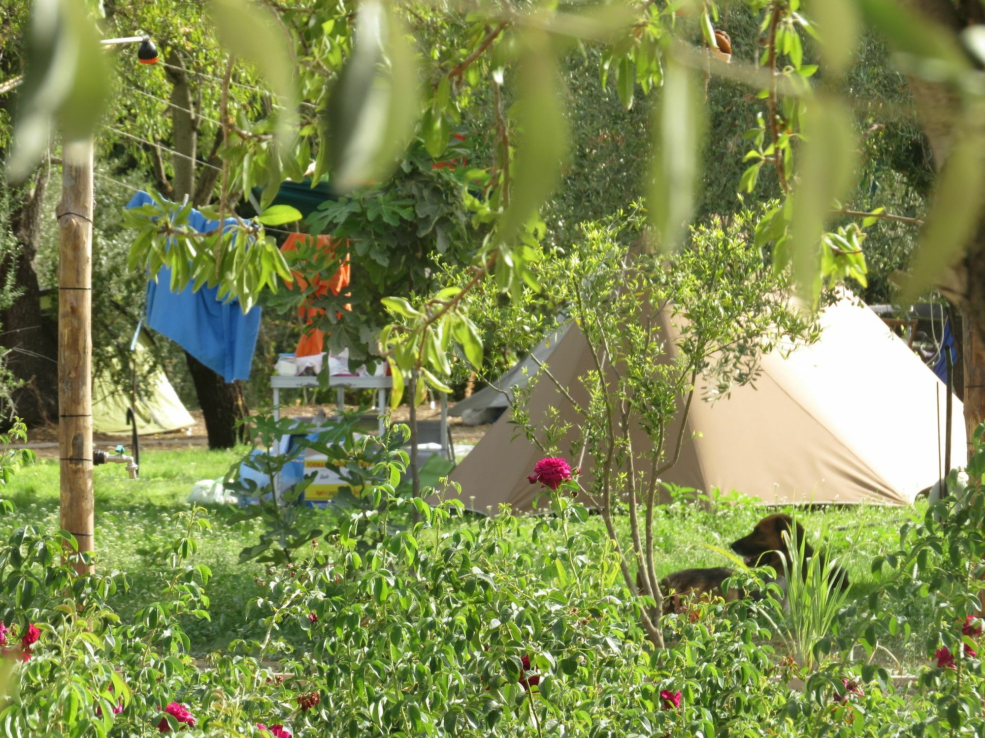 Camping Fiori Di Noto Zewnętrze zdjęcie